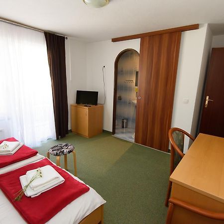 Penzion Vila Bistrica 班斯卡比斯特里察 外观 照片