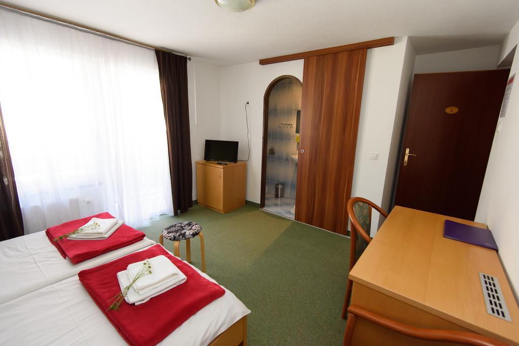 Penzion Vila Bistrica 班斯卡比斯特里察 外观 照片