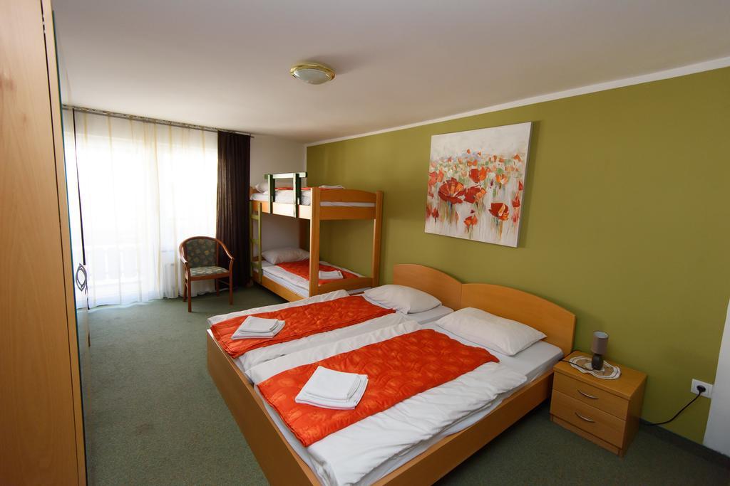 Penzion Vila Bistrica 班斯卡比斯特里察 外观 照片